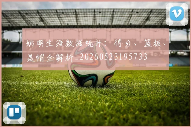 姚明生涯数据统计：得分、篮板、盖帽全解析_20260523195733