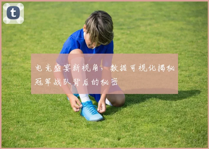 电竞盛宴新视角，数据可视化揭秘冠军战队背后的秘密