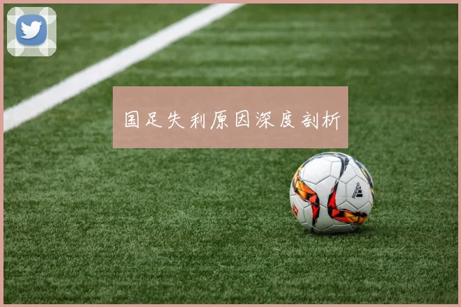 国足失利原因深度剖析