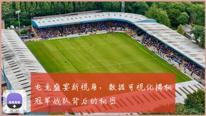 电竞盛宴新视角，数据可视化揭秘冠军战队背后的秘密