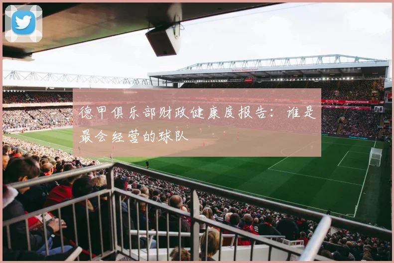 德甲俱乐部财政健康度报告:谁是最会经营的球队