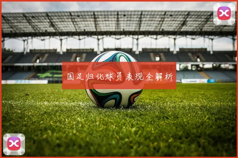 国足归化球员表现全解析